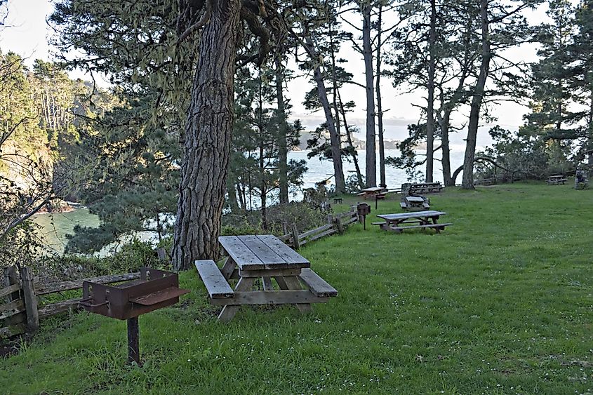 Picnic Area in Russian Gulch State Park