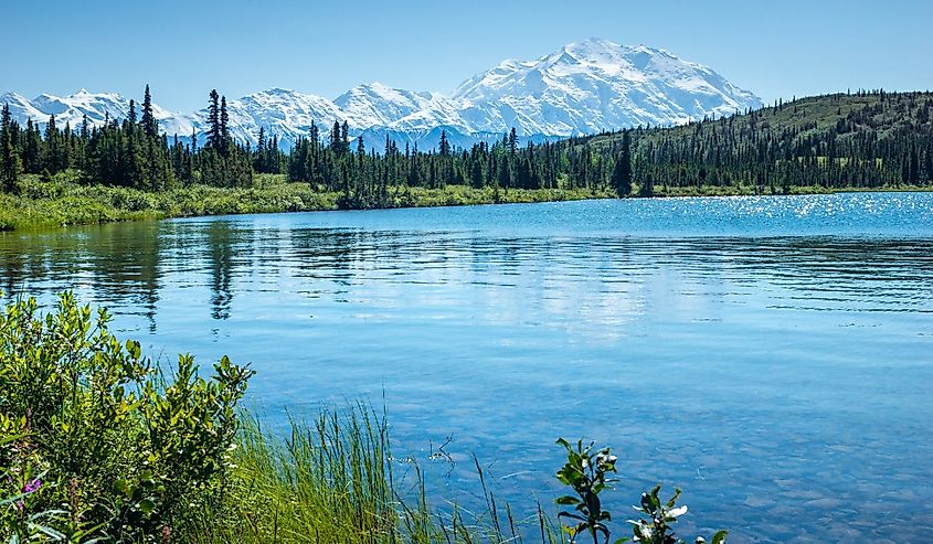 Mount Denali - WorldAtlas