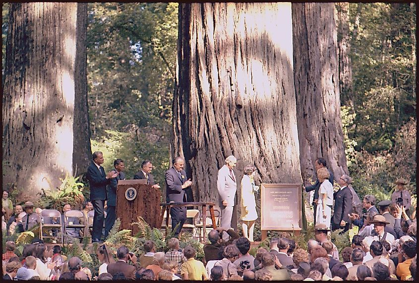 Dedication of Lady Bird Johnson Grove with former president Lyndon Johnson and then-current president Richard Nixon.