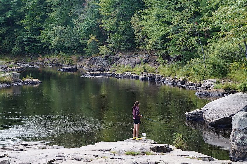 Fishing in Tobyhanna Creek, Pennsylvania.