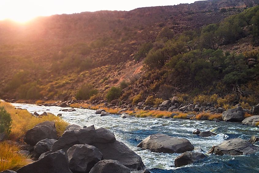 Rio Grande River, New Mexico.
