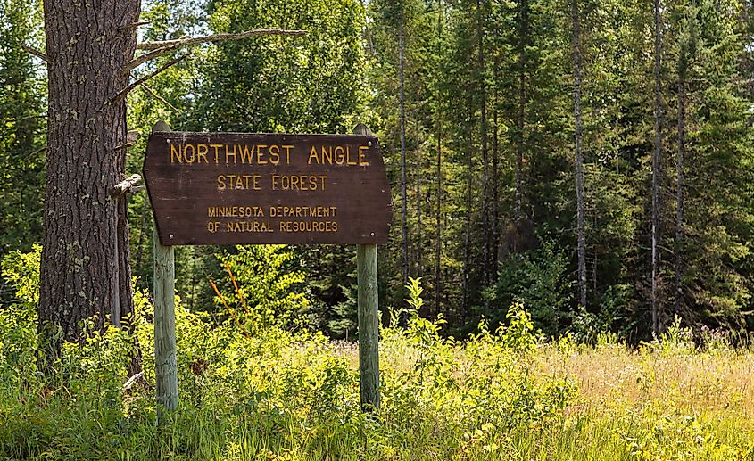 Most of the land area of the region is wooded, including the Northwest Angle State Forest.