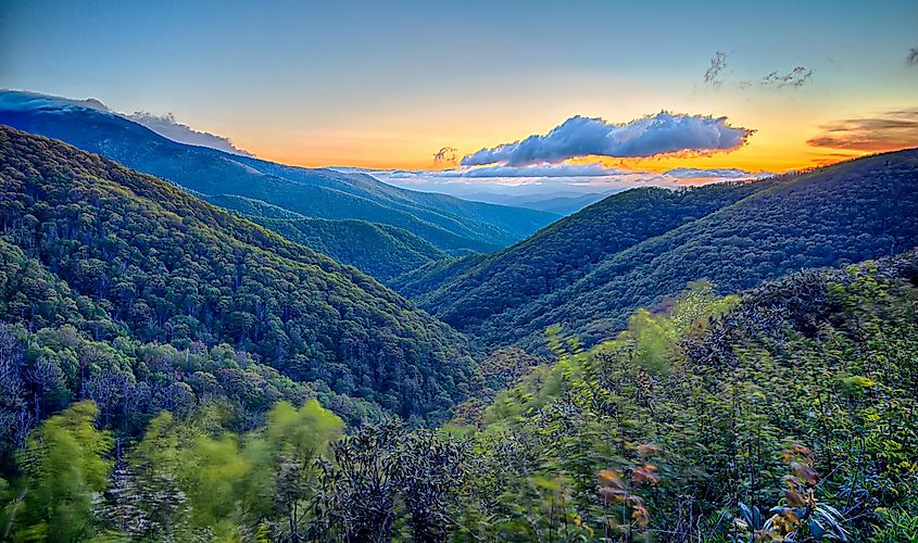 Rolling forested ridges of the Appalachian Mountains