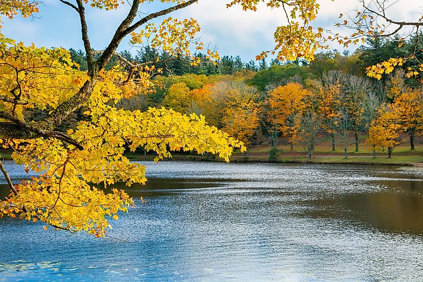 The beautiful Bass Lake in North Carolina.