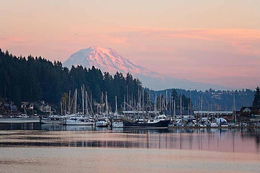 Mt rainier and gig harbor; marina life, pink sunset, Washington state.