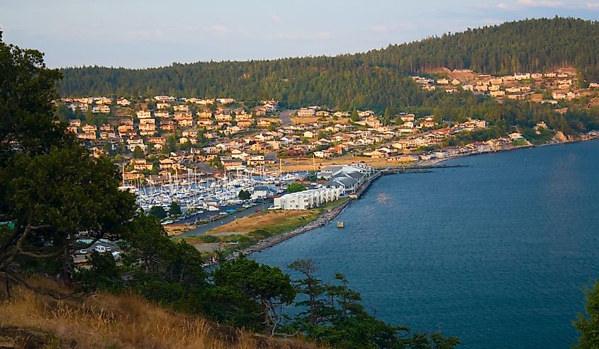 A view of the Anacortes Island Marina and homes on the hill overlooking Burrows Bay, Puget Sound, Washington.