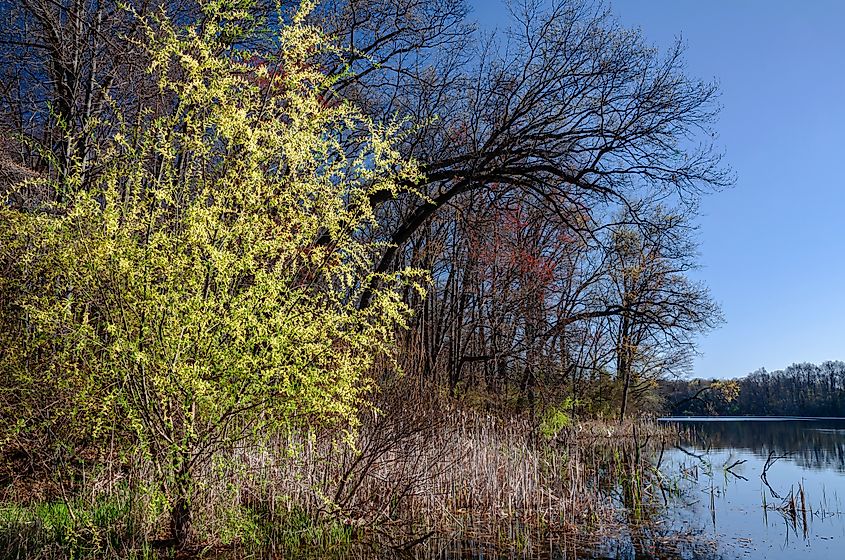 Waterloo State Recreation Area, Washtenaw County, Michigan