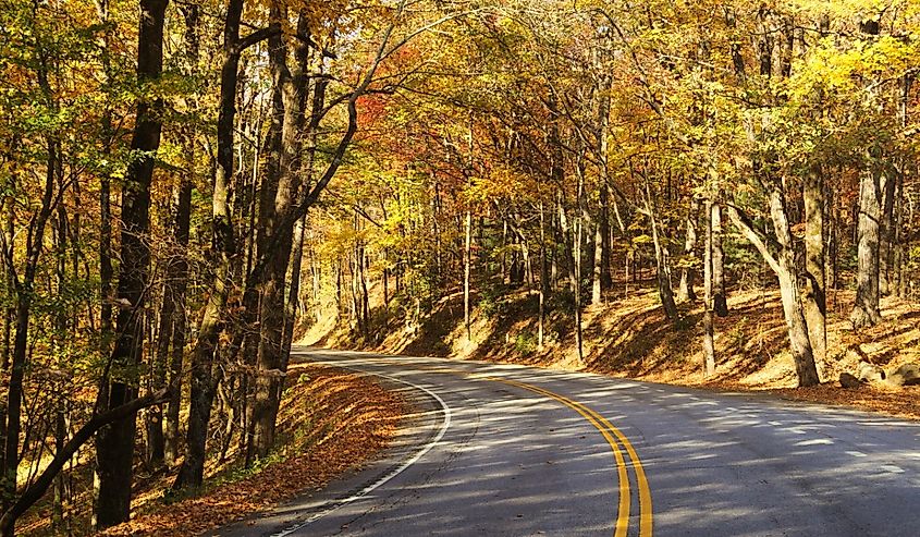 Caesar's Head Mountain Road with fall colors