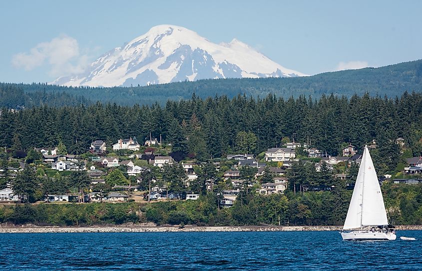 A photo of Mount Baker with a sailboat and houses in the Bellingham town area.