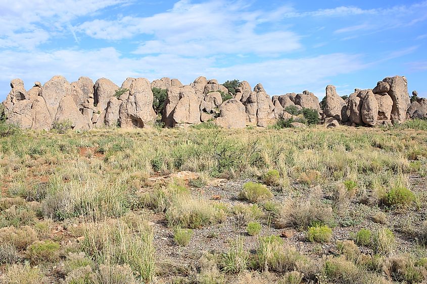 City of Rocks State Park in New Mexico, USA.