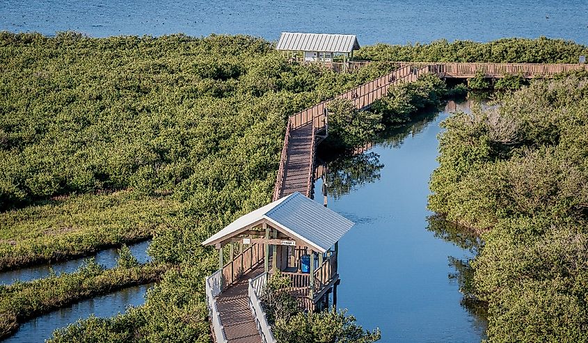 Bird blinds for excellent bird-watching on South Padre Island. 