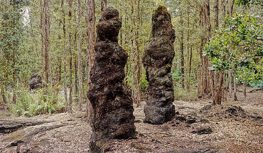 Lava Tree State Monument is a public park located 2.7 miles (4.3 km) southeast of Pāhoa