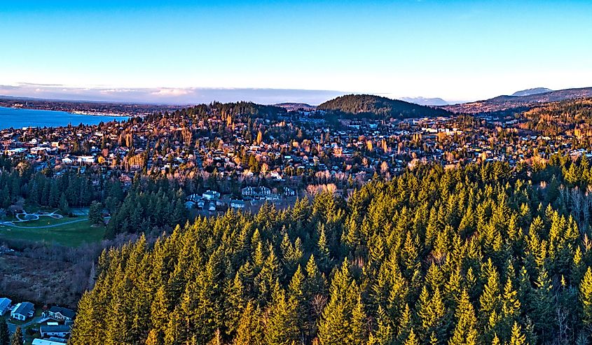 Aerial view of Forest View, in Fairhaven, Washington
