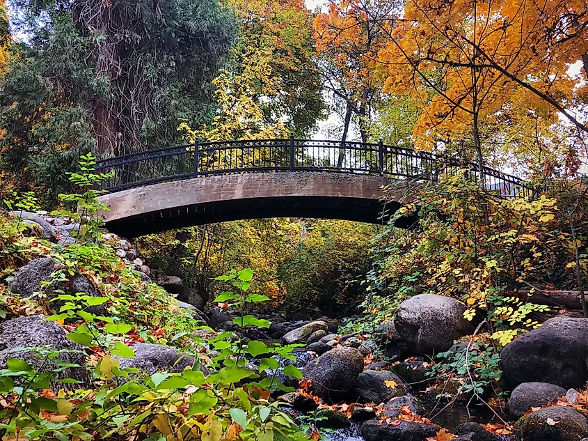 Lithia Park in Ashland, Oregon.
