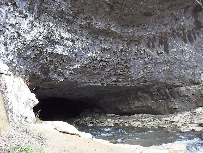 Lost Cove Cave, Tennessee, USA: Main "Buggytop" entrance from below with Lost Creek flowing out.