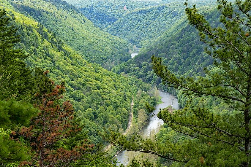 The spectacular Pine Creek Gorge in Pennsylvania