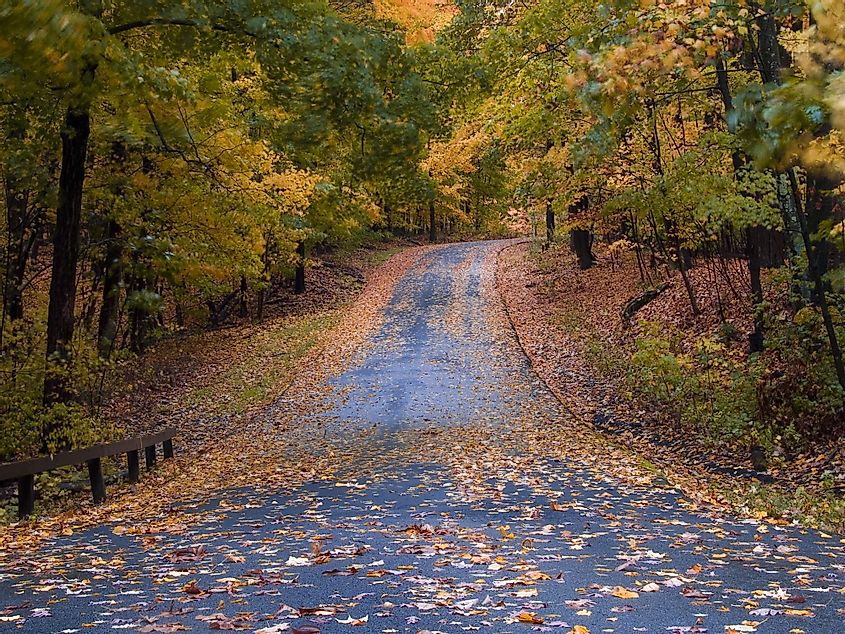 Beautiful colorful autumn leaves falling on a rainy day on a wet country road in Warwick, New York. 
