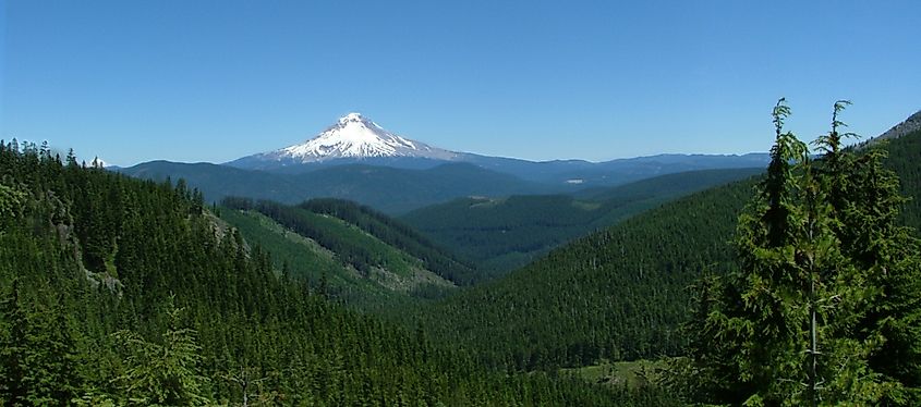 Mount Hood National Forest, Oregon.