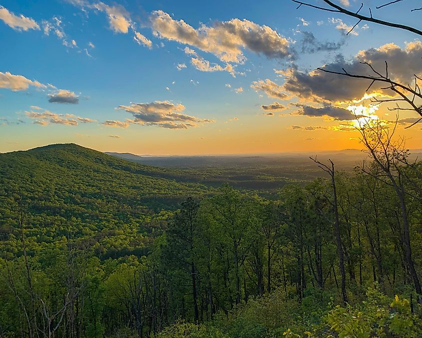 Sunset over the forest, Talladega National Forest, Alabama.