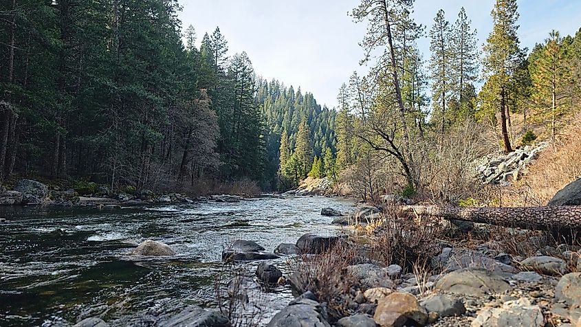 Beautiful view of the wild American River California at winter.