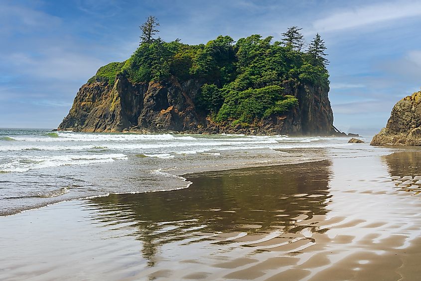 Beach along the Washington state coast in the Olympic National Park 
