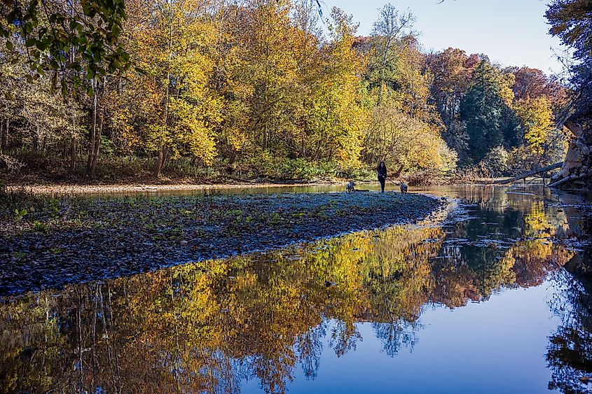Turkey Run State Park in Indiana.