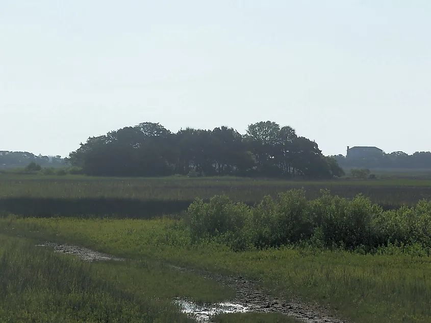 Site of the old fort Mose, Florida.