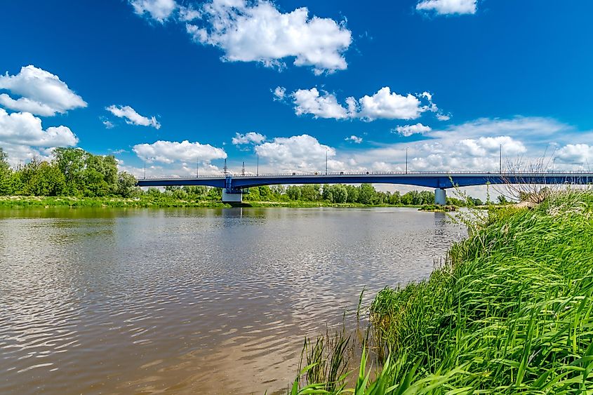 Rural landscape with River Bug near Szumin village, Mazowsze region, Poland