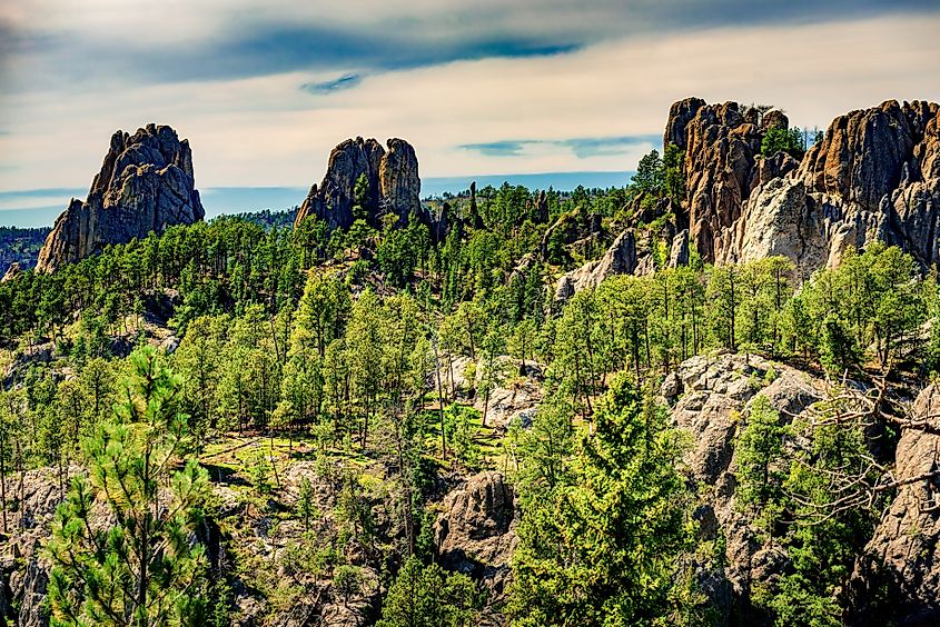 The Black Hills of South Dakota.