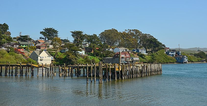 Houses on Bodega Bay in California