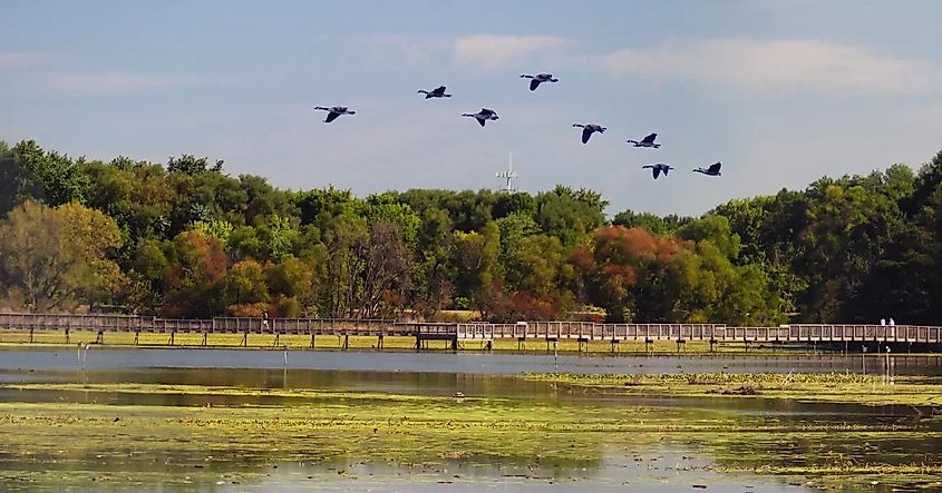 John Heinz National Wildlife Refuge via https://www.fws.gov/refuge/john-heinz-tinicum