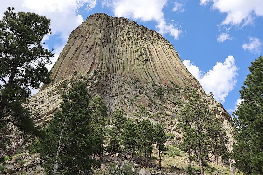Devils Tower in Devils Tower National Monument, Wyoming