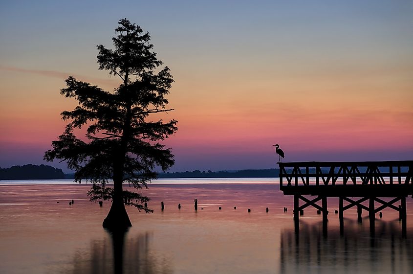 Reelfoot Lake