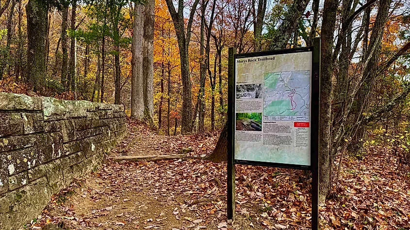 Luryay TRailhead Skyline Drive photo by Bryan Dearsley