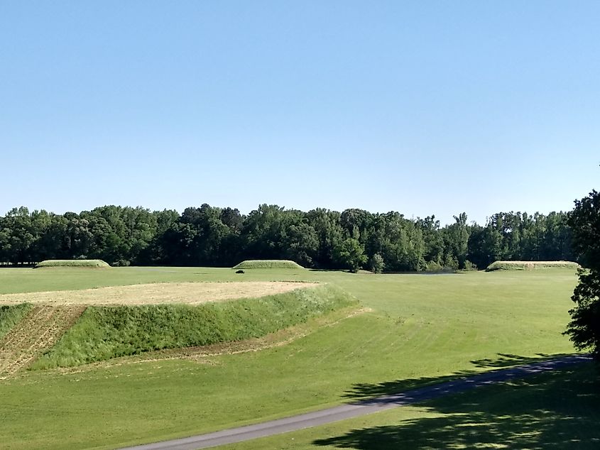 Grassy earthen mounds at the Moundville Archaeological Site.