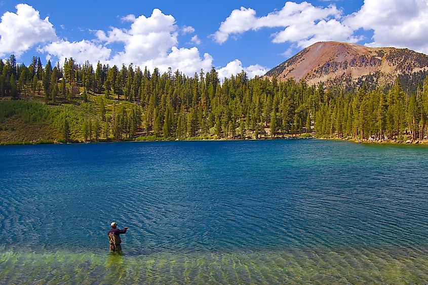 A fisherman at Lake George