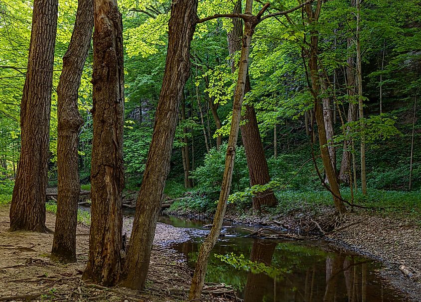 View of the Starved Rock State Park near Ottawa, Illinois.