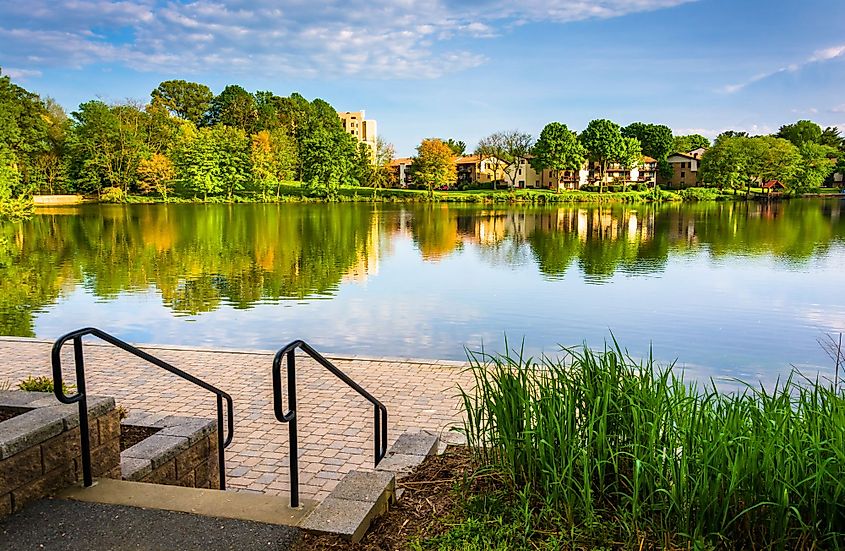 Stairs and grasses along the shore of Wilde Lake in Columbia, Maryland