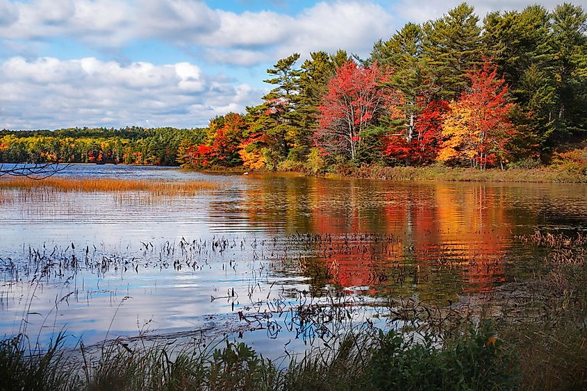 Autumn scenery at  Acadia National Park.