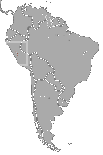 The only area in Peru where Junin Slender Oppossums (Marmosops juninensis) are found. 