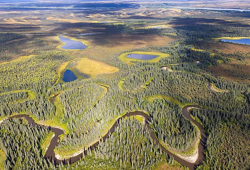 Kobuk Valley National Park in the arctic of Alaska.