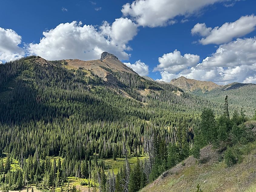 Mountain View at State Forest State Park, Colorado.