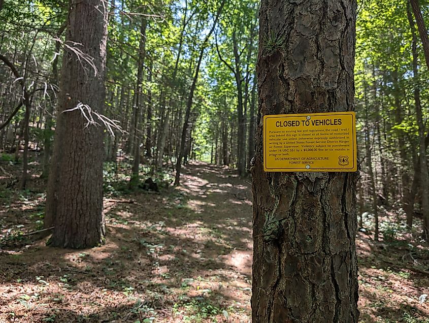 Sign warning of road closed to vehicles posted by the Forest Service in Cherokee National Forest, Tennessee.