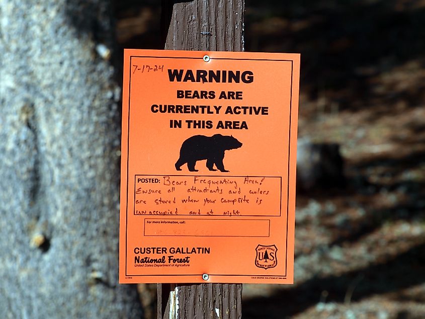 Custer Gallatin National Forest, Montana