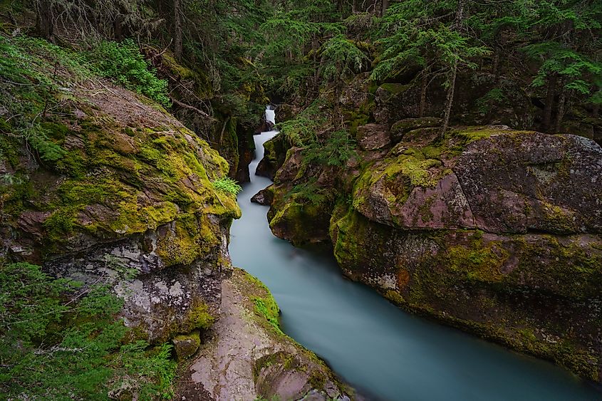 Avalanche Lake