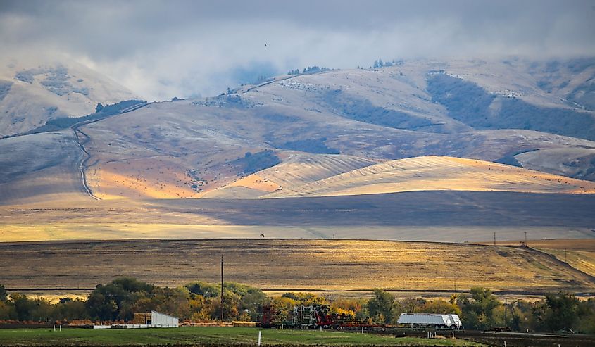 First snow of the season on the Blue Mountains in Walla Walla, Washington