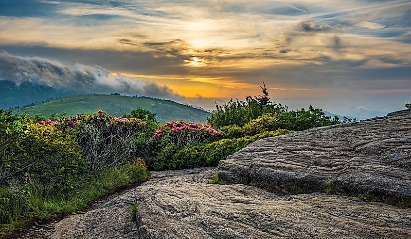 Roan Mountain Cloudy Sky Sunset above flowering rhododendrons on the North Carolina and Tennessee Border