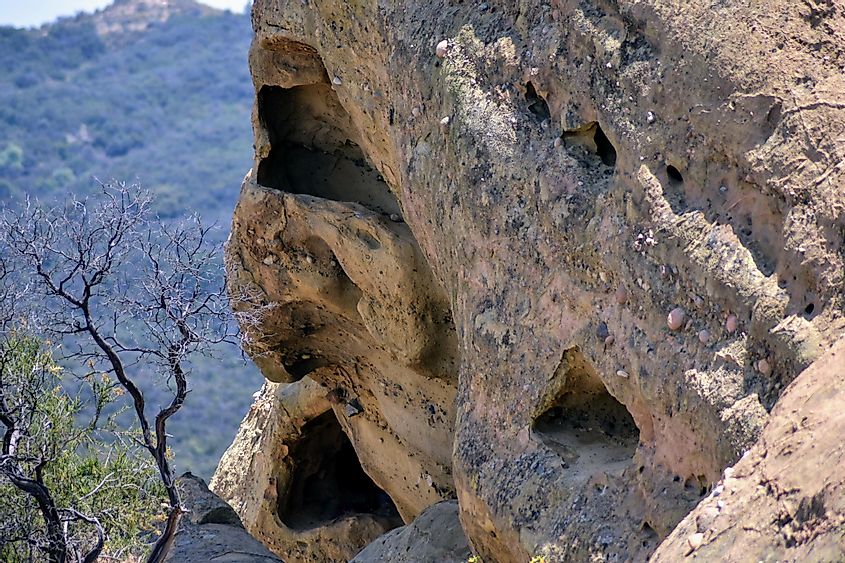 Wind-eroded rock caves.