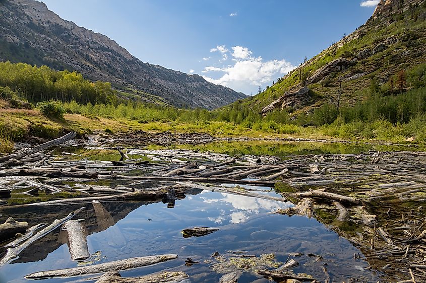 Beautiful landscape around Lamoille Canyon, Nevada.