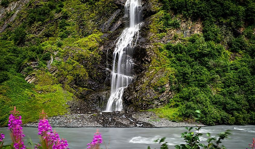 Stream of water of Bridal Veil Falls waterfall in Alaska with pink flowers in the forefront